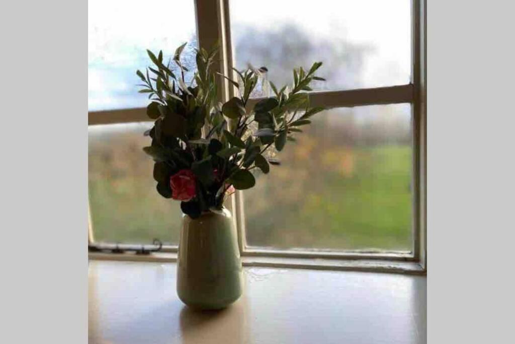 קרייבן ארמס Upper Heath Farm - Stable Cottage Ludlow מראה חיצוני תמונה