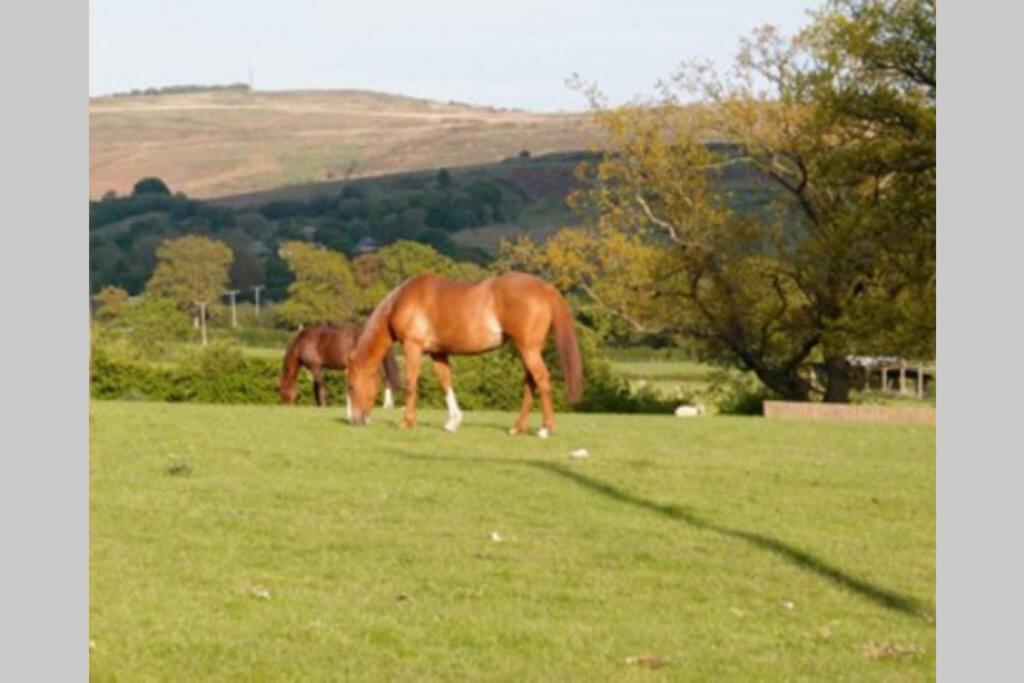 קרייבן ארמס Upper Heath Farm - Stable Cottage Ludlow מראה חיצוני תמונה