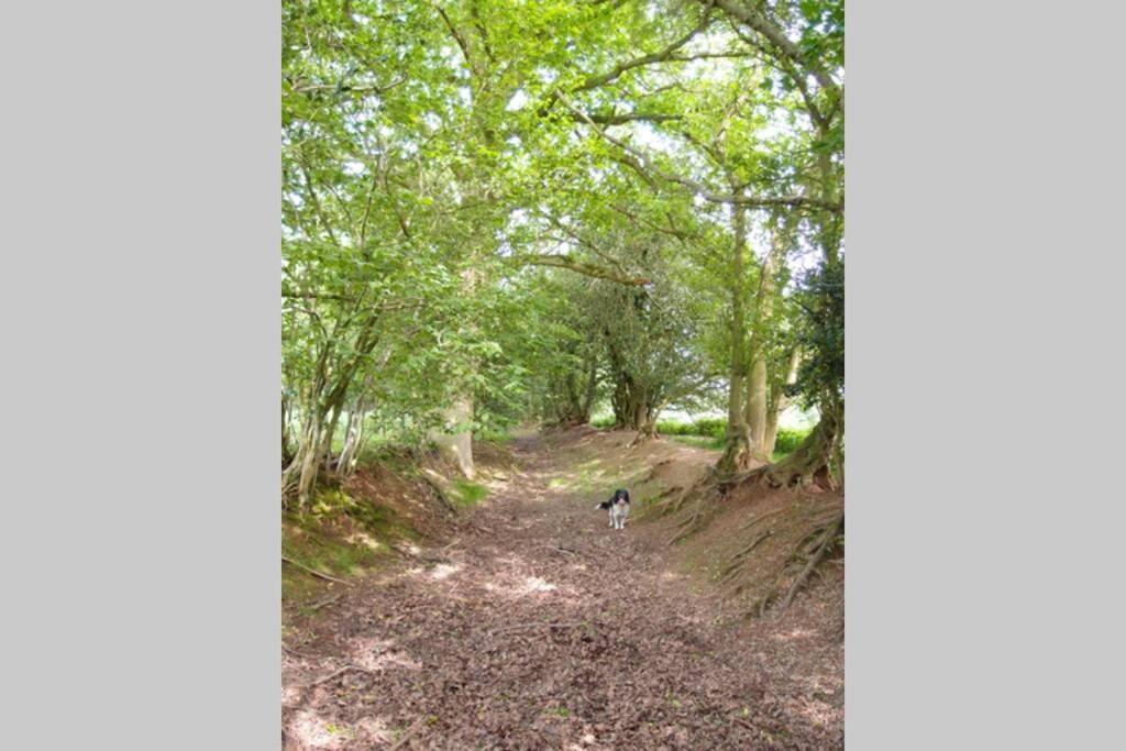 קרייבן ארמס Upper Heath Farm - Stable Cottage Ludlow מראה חיצוני תמונה
